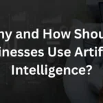Why and How Should Businesses Use Artificial Intelligence?