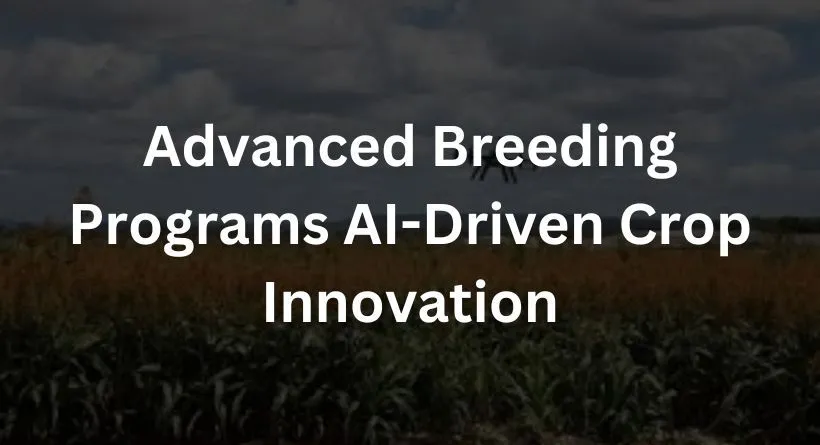 Advanced Breeding Programs: AI-Driven Crop Innovation